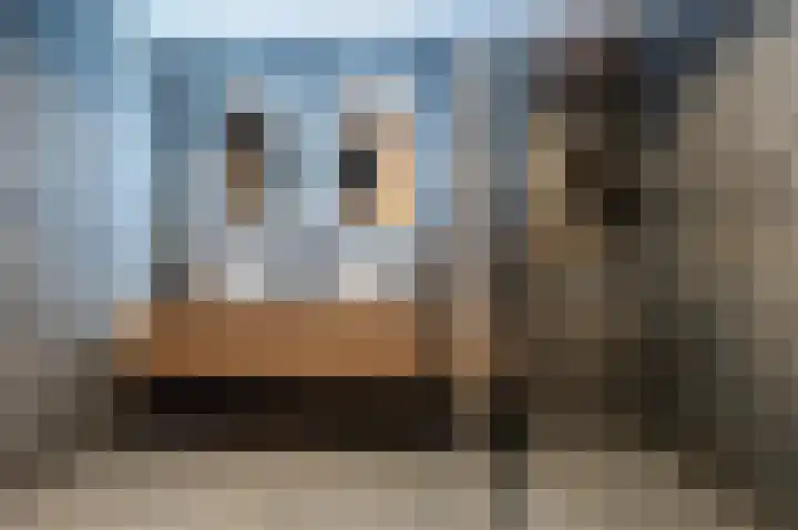 Akkerland 99 Assendelft thumbnail 27