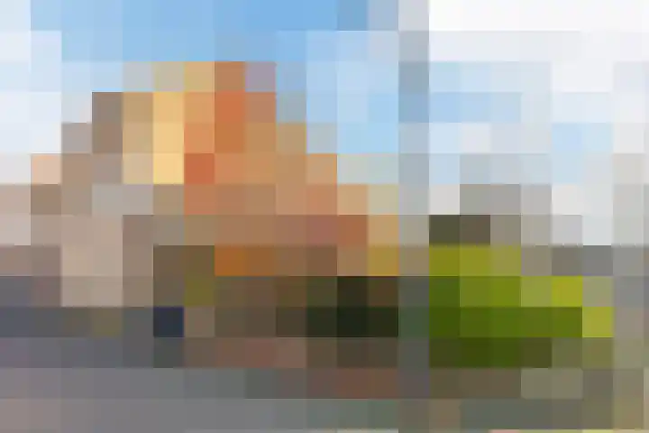 Akkerland 99 Assendelft thumbnail 5