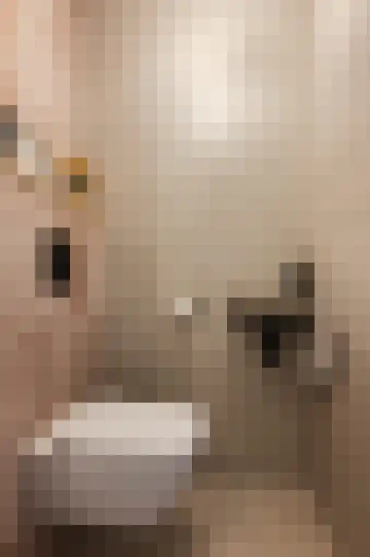 Akkerland 99 Assendelft thumbnail 8