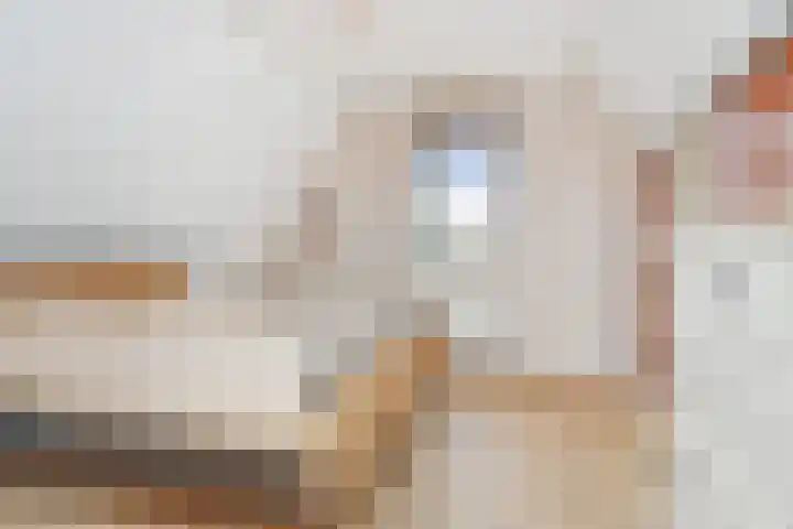 Akkerlanden 1 Pijnacker thumbnail 24
