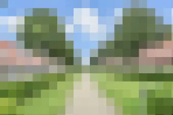 Akkerlanden 1 Pijnacker thumbnail 7