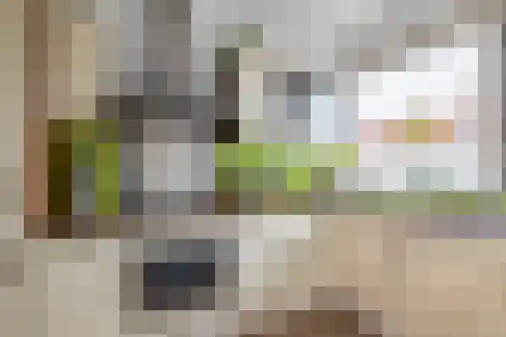 Akkerlanden 29 Pijnacker thumbnail 10