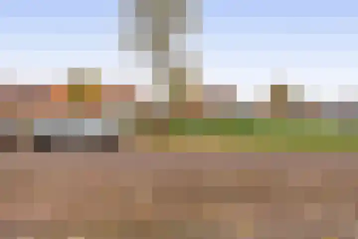 Akkerlanden 29 Pijnacker thumbnail 31