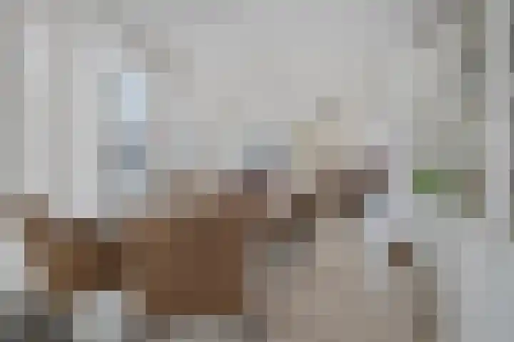 Akkerlingen 2 a Hoeven thumbnail 10