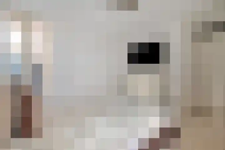 Akkerlingen 2 a Hoeven thumbnail 15