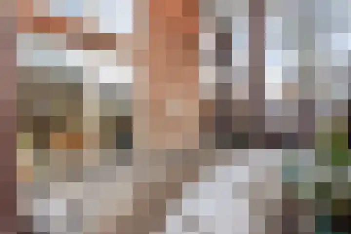 Akkerlingen 2 a Hoeven thumbnail 19