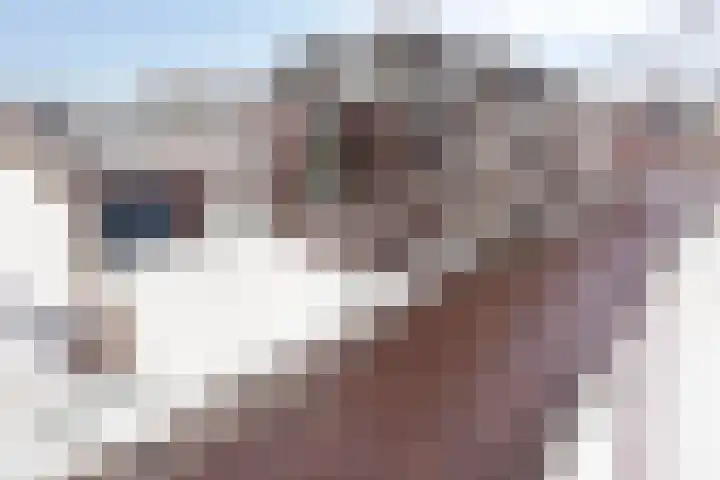 Akkerlingen 2 a Hoeven thumbnail 22