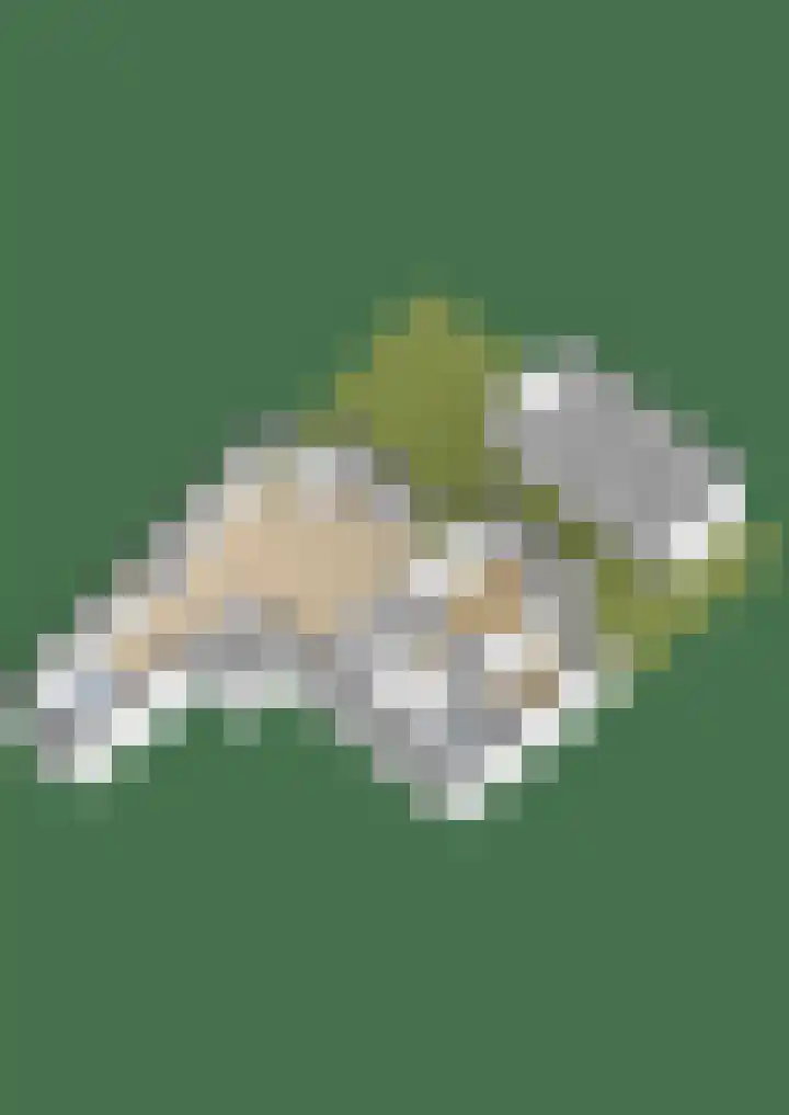 Akkerlingen 2 a Hoeven thumbnail 30