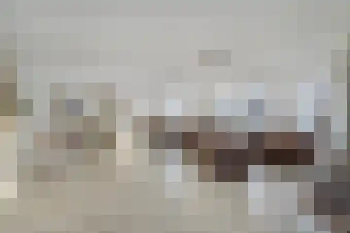 Akkerlingen 2 a Hoeven thumbnail 6