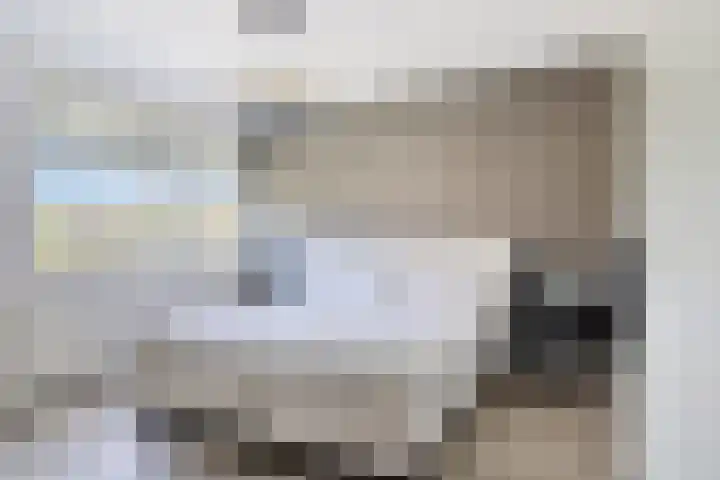 Akkermaten 12 Denekamp thumbnail 15