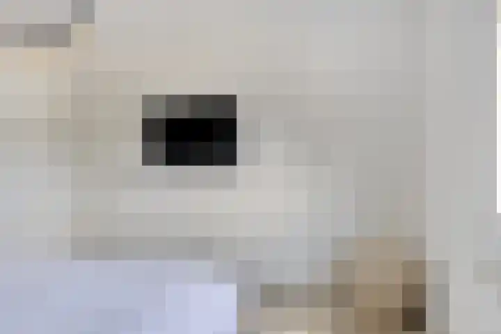 Akkermaten 12 Denekamp thumbnail 16
