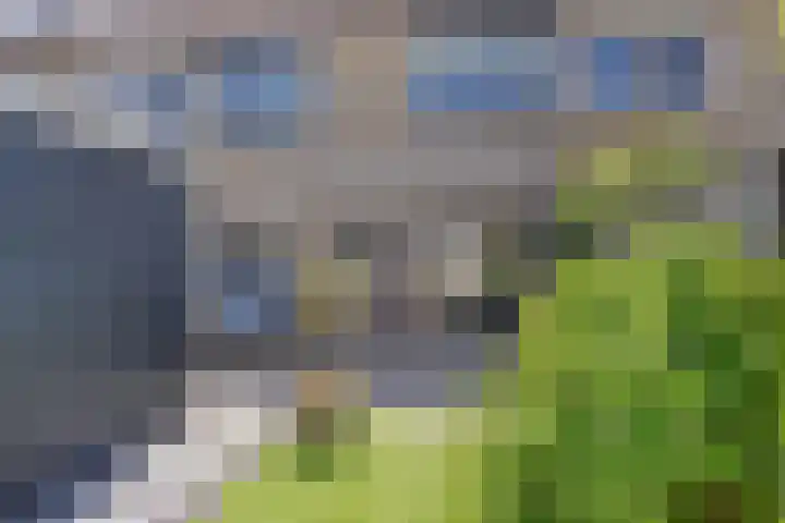 Akkermaten 12 Denekamp thumbnail 27