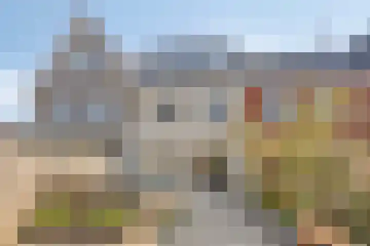 Akkermunt 57 Bodegraven thumbnail 13