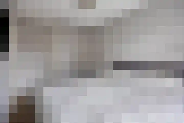 Akkermunt 57 Bodegraven thumbnail 25