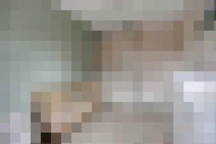 Akkermunt 57 Bodegraven thumbnail 29