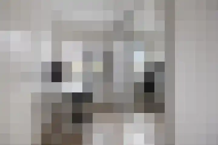 Akkermunt 57 Bodegraven thumbnail 30