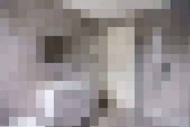 Akkermunt 57 Bodegraven thumbnail 33