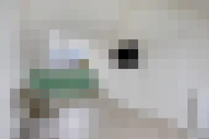 Akkermunt 57 Bodegraven thumbnail 36