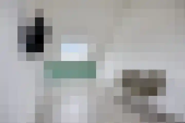 Akkermunt 57 Bodegraven thumbnail 37