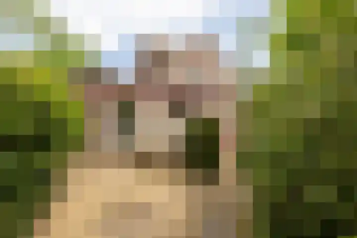 Akkerpad 29 Eemnes thumbnail 30