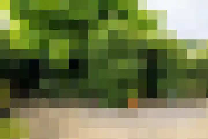 Akkerpad 29 Eemnes thumbnail 31