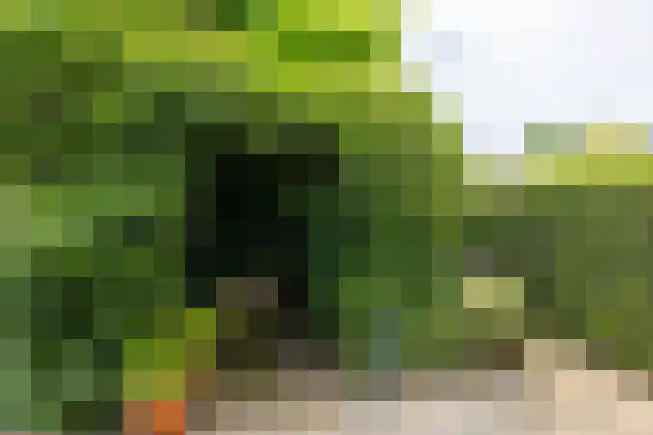 Akkerpad 29 Eemnes thumbnail 32
