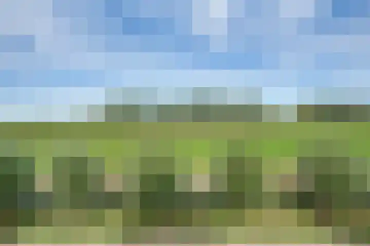 Akkerpad 3 's-Hertogenbosch thumbnail 13