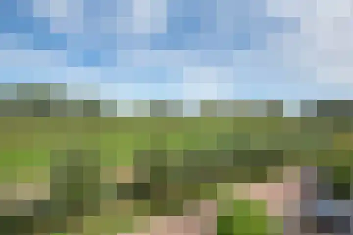 Akkerpad 3 's-Hertogenbosch thumbnail 20