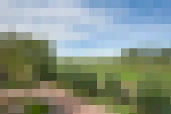 Akkerpad 3 's-Hertogenbosch thumbnail 21