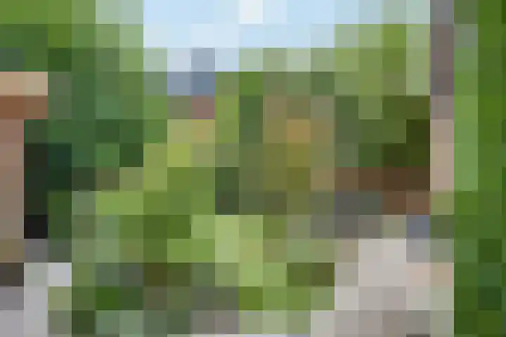 Akkerpad 3 's-Hertogenbosch thumbnail 26