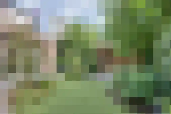 Akkerpad 3 's-Hertogenbosch thumbnail 28