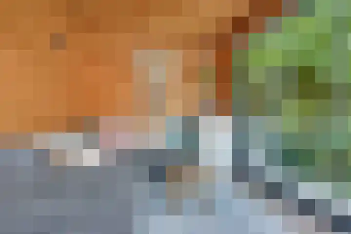 Akkerpad 3 's-Hertogenbosch thumbnail 31