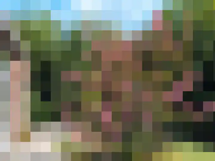 Akkerpad 3 's-Hertogenbosch thumbnail 33