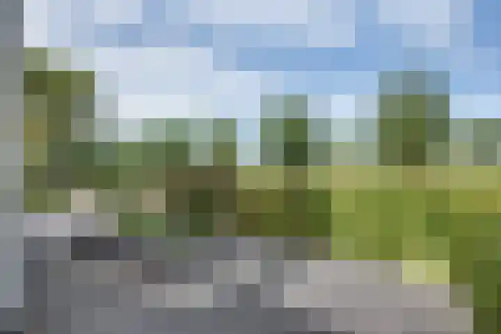 Akkerpad 3 's-Hertogenbosch thumbnail 37
