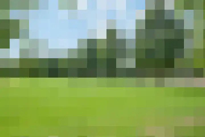 Akkerpad 3 's-Hertogenbosch thumbnail 38