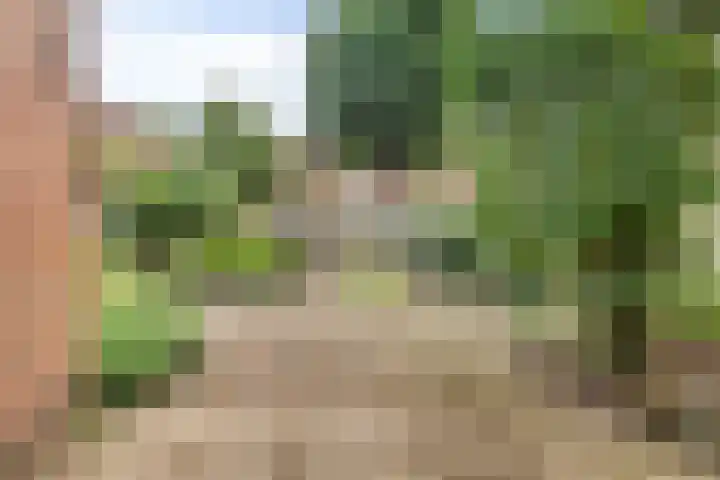 Akkerstraat 1 Genderen thumbnail 27