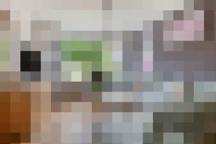 Akkerstraat 1 Genderen thumbnail 5