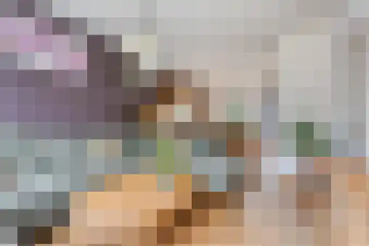 Akkerstraat 1 Genderen thumbnail 6