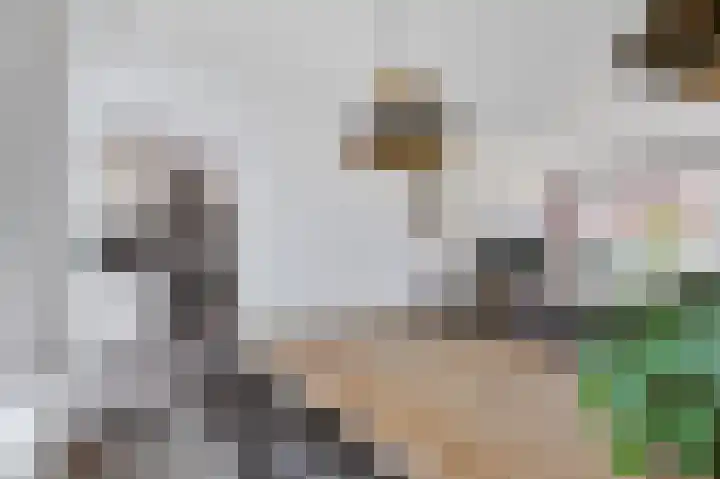 Akkerstraat 14 Didam thumbnail 7
