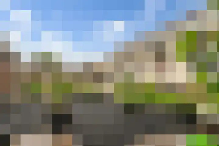 Akkerstraat 15 Didam thumbnail 18