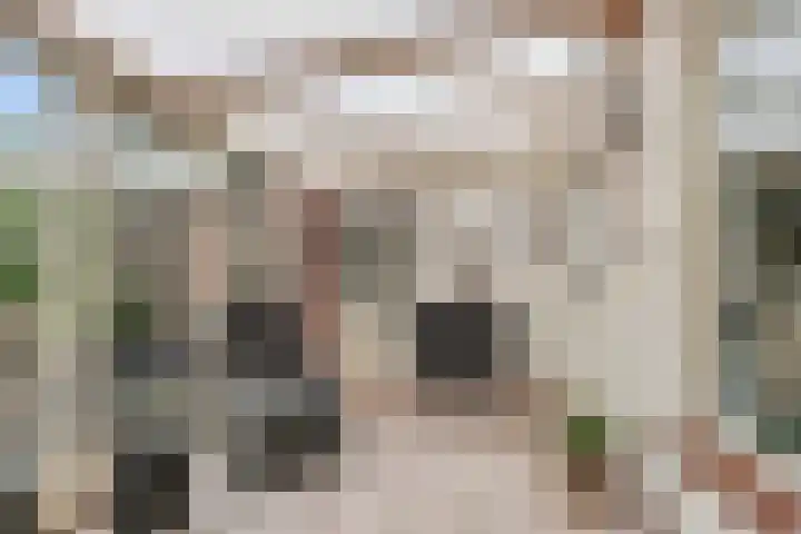 Akkerstraat 15 Didam thumbnail 9