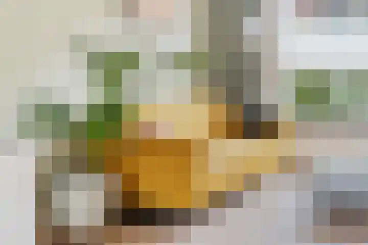 Akkerstraat 29 Eindhoven thumbnail 14
