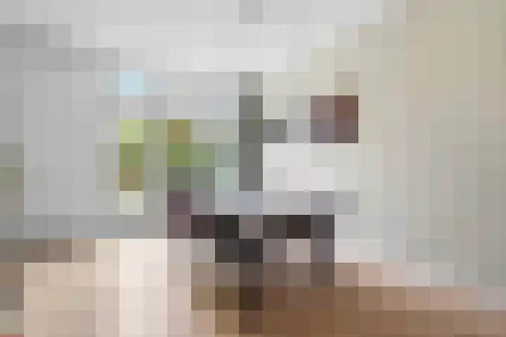 Akkerstraat 29 Eindhoven thumbnail 19