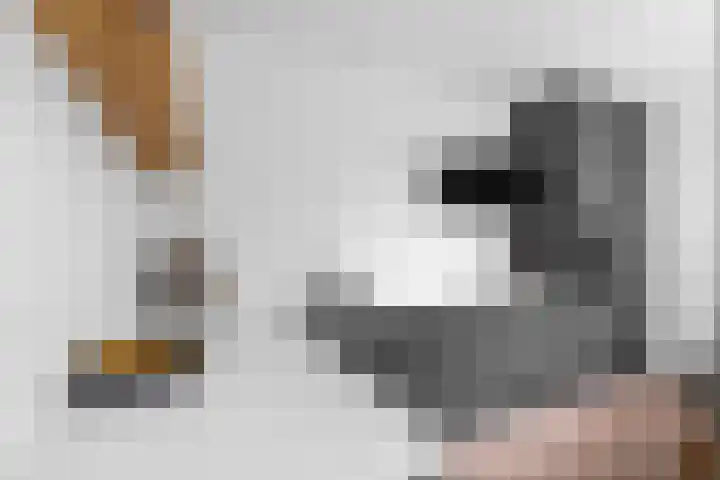 Akkerstraat 29 Eindhoven thumbnail 5