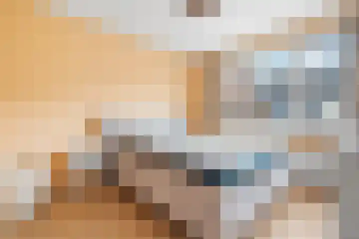 Akkerstraat 29 Eindhoven thumbnail 62