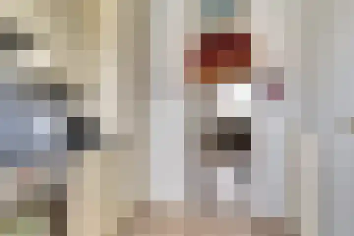 Akkerstraat 4 Dieren thumbnail 13