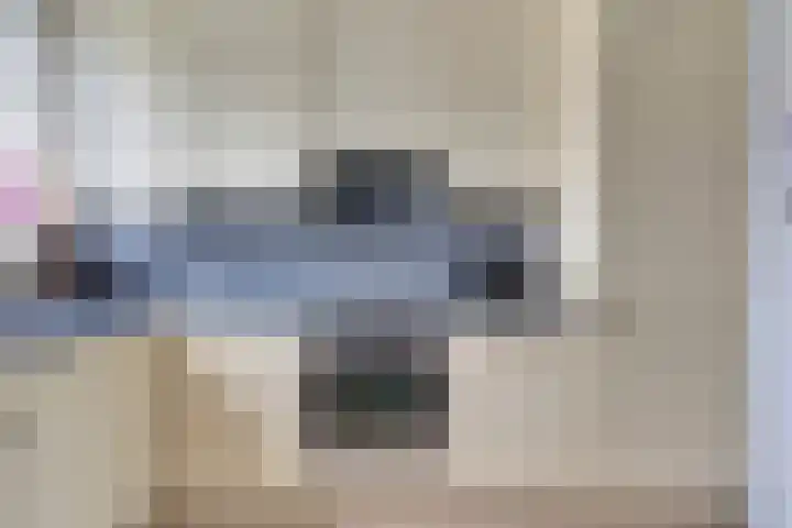 Akkerstraat 4 Dieren thumbnail 14