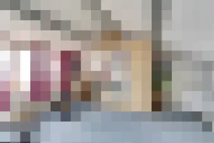 Akkerstraat 4 Dieren thumbnail 19