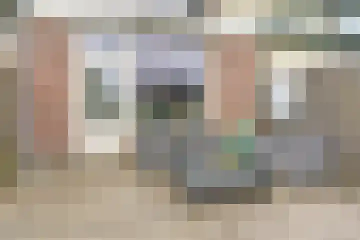 Akkerstraat 4 Dieren thumbnail 25
