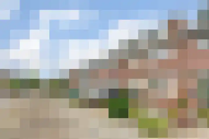 Akkerstraat 4 Dieren thumbnail 27